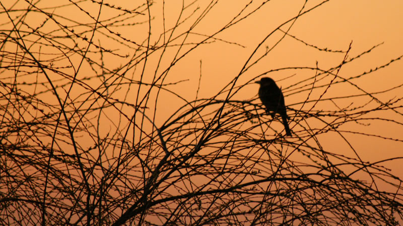 Harmonierende Lösungen